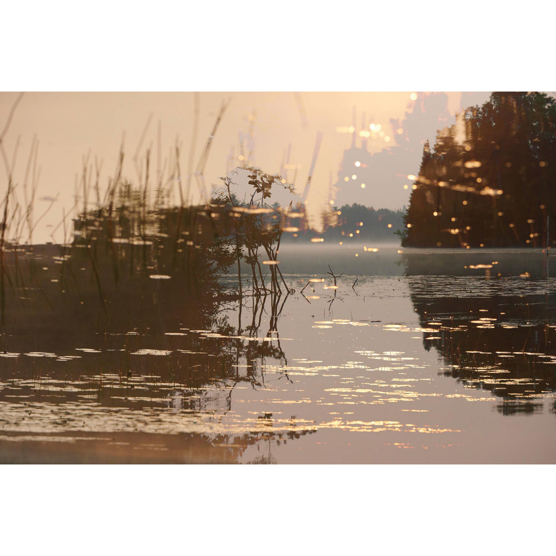 Bruno Larue "Fireflies On The Lake" abstract landscape nature photography Canadian Quebec artist