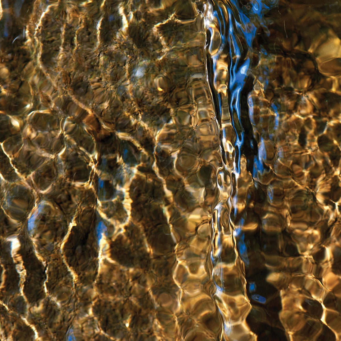 Bruno Larue "Summer Feeling" abstract photography Canadian Quebec artist