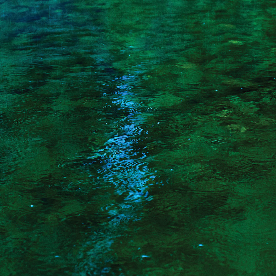 Bruno Larue "Untitled 3" abstract landscape nature photography Canadian Artist