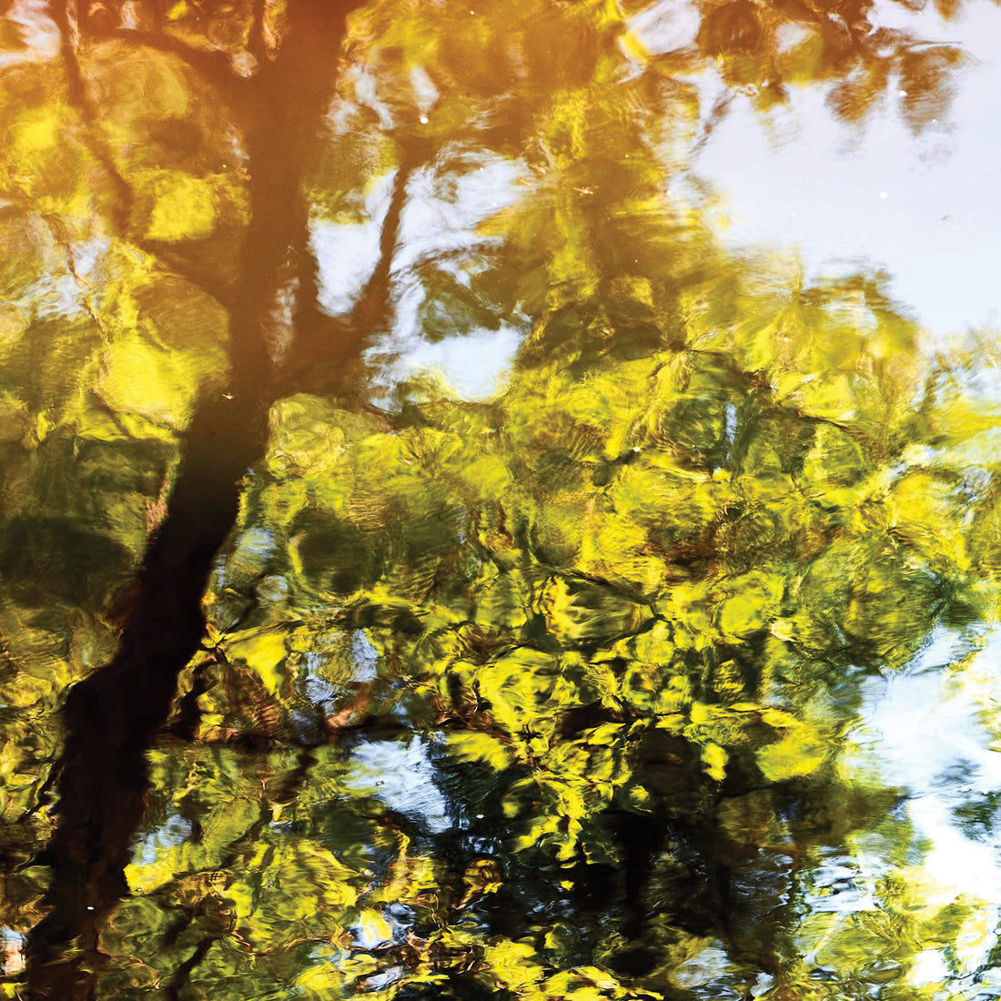 Bruno Larue "Untitled 4" abstract landscape nature photography Canadian Quebec artist