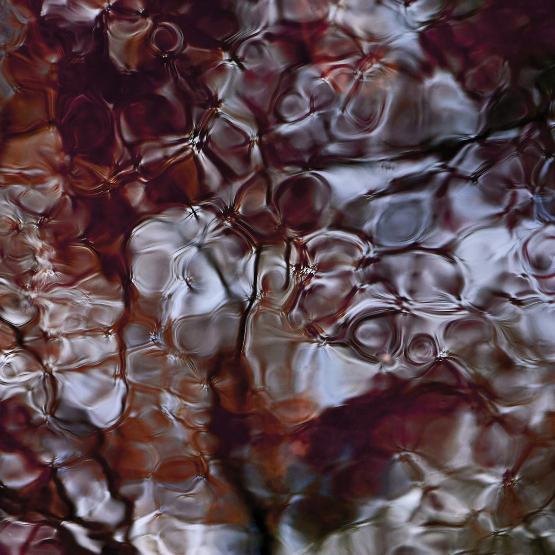 Bruno Larue "Untitled 5" abstract landscape nature photography Canadian Quebec artist