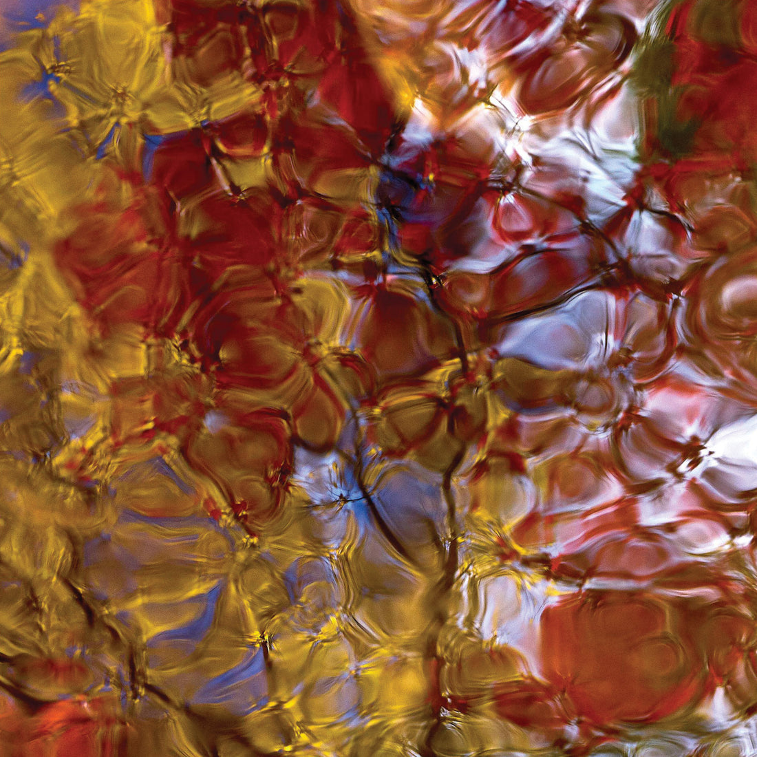 Bruno Larue "Untitled 6" abstract landscape nature photography Canadian Quebec artist