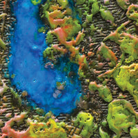 Arborescents Whispers 250502, 16" x 12"