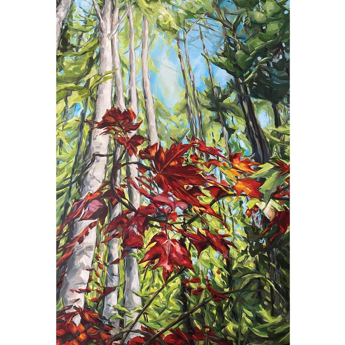 Tamanda Elia "Algonquin Breeze"