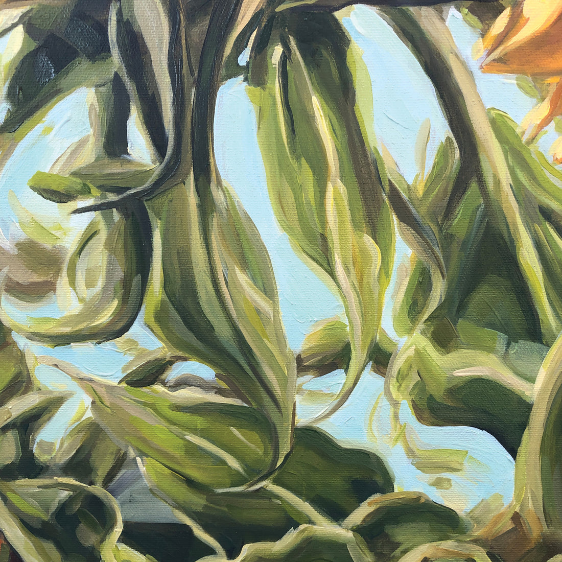 Tamanda Elia "Sun Dance" floral painting Canadian Artist