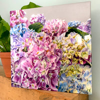 Hydrangea Heaven, 12" x 12"
