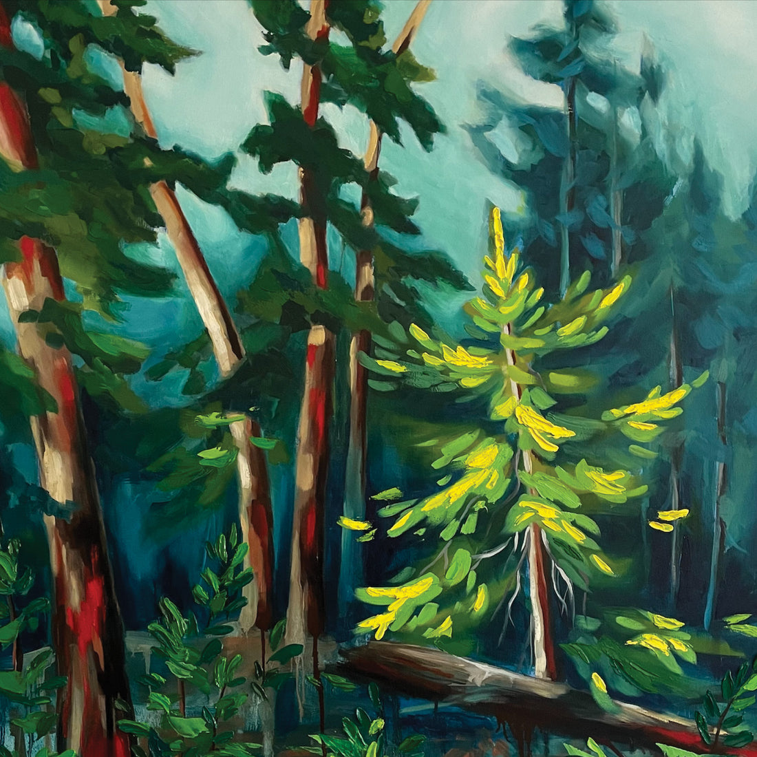 Marta Stares "Forest Bath" landscape painting Canadian art