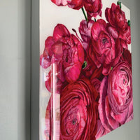 Melissa Passmore "The Posies"
