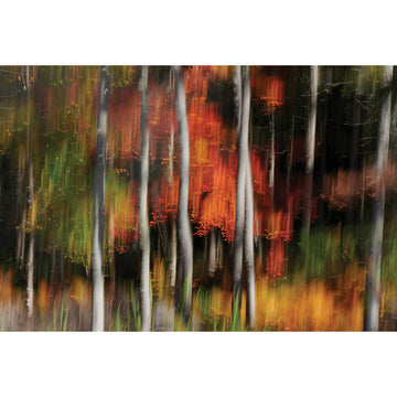 Bruno Larue "Autumn Dream" abstract landscape nature photography Canadian Quebec artist