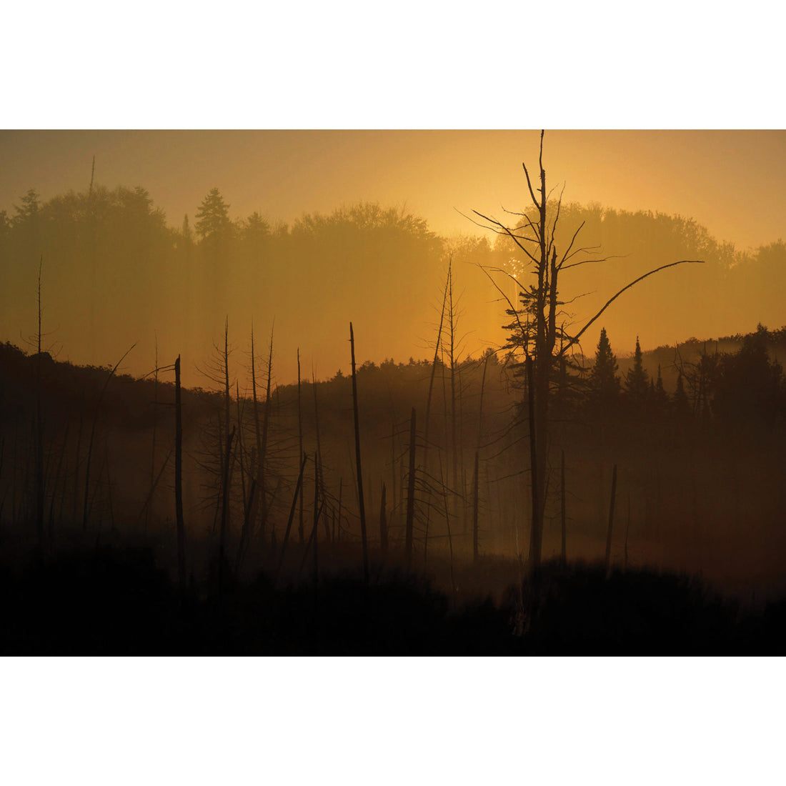 Bruno Larue "Untitled 1" abstract landscape nature photography  Canadian Quebec artist