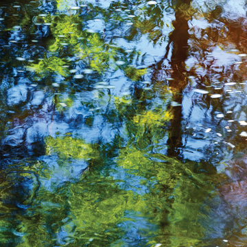 Bruno Larue "Water Lili" abstract Photography Canadian Quebec artist