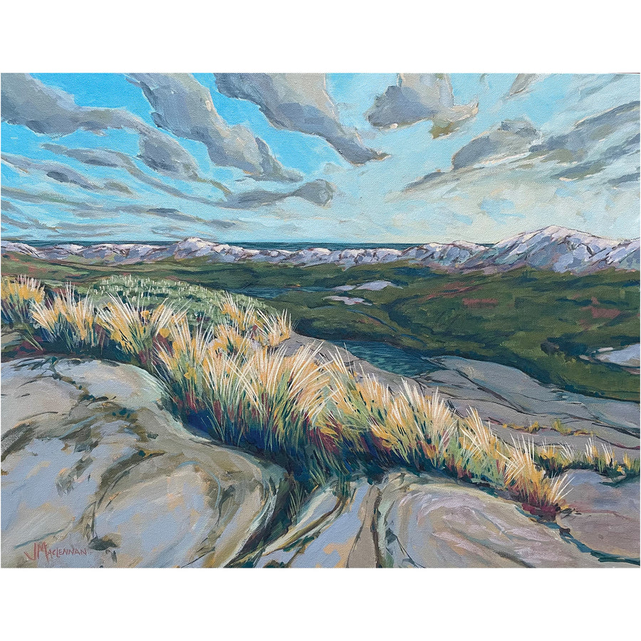 Joanne MacLennan "Abundant Spaces" landscape painting Canadian Artist