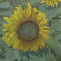John Kaltenhauser "Sunflowers" floral painting Canadian artist