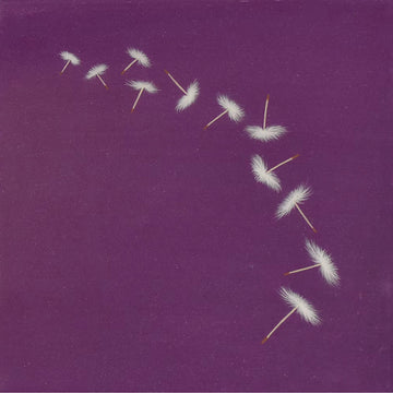 Wishes on Purple, 12" x 12"