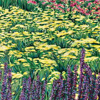 Purple Foral, 16" x 20"