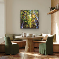 Luminous Canopy, 36" x 36"