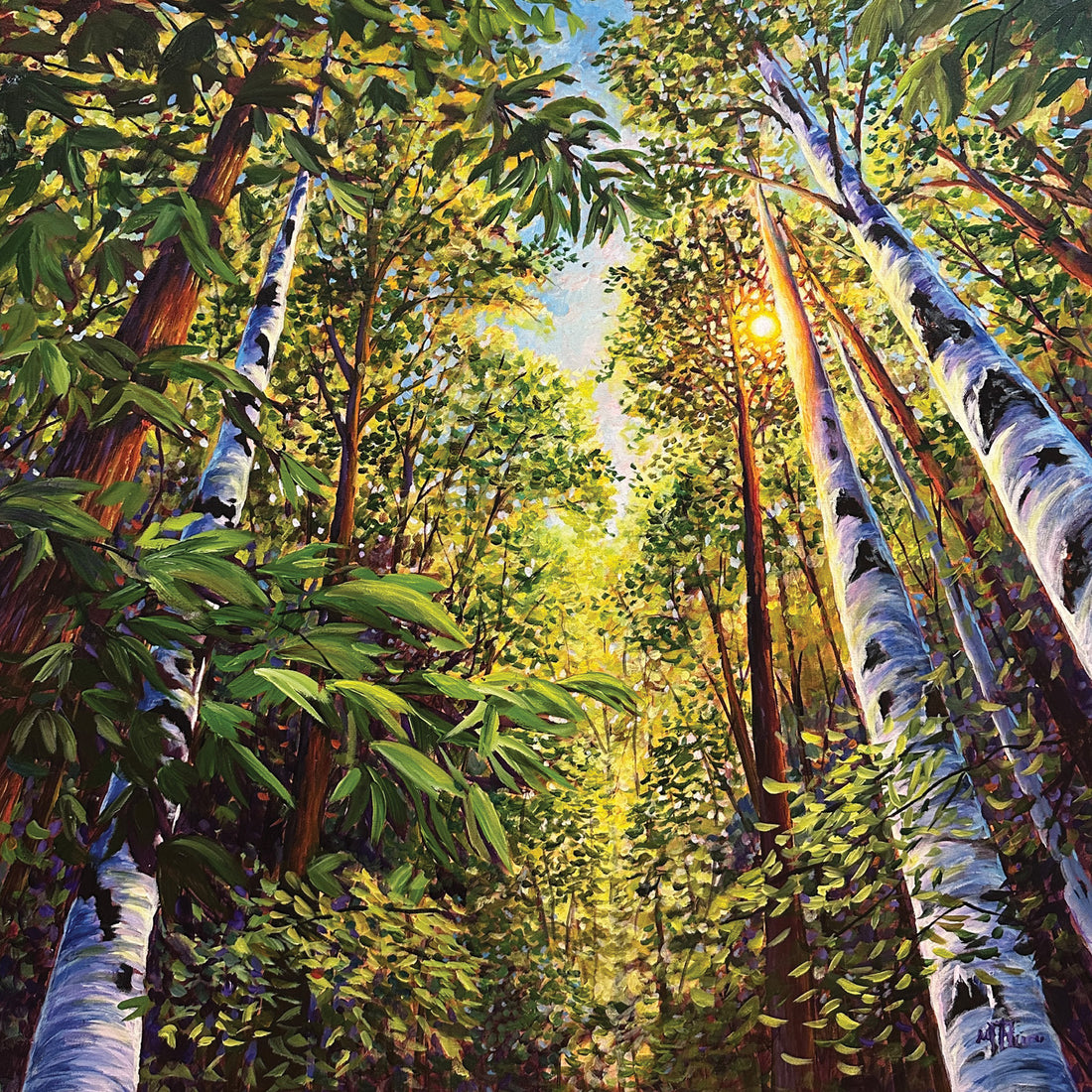 Luminous Canopy, 36" x 36"