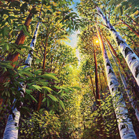 Luminous Canopy, 36" x 36"
