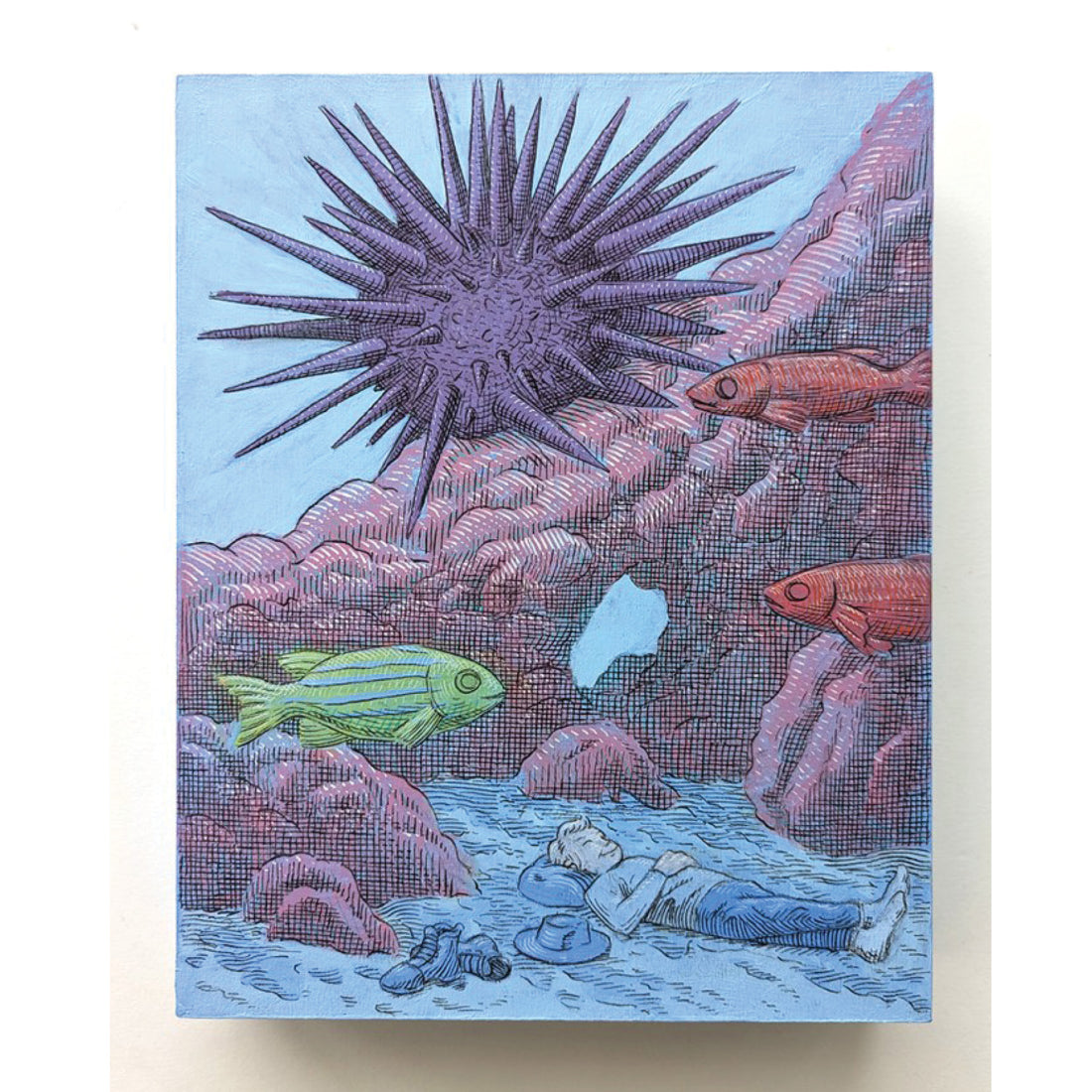 Napping With Urchins, 10" x 8"