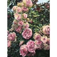 Tamanda Elia "Rose Garden"