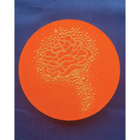 Mais Al-Sheikhly "Blooming Bright" abstract orange painting 