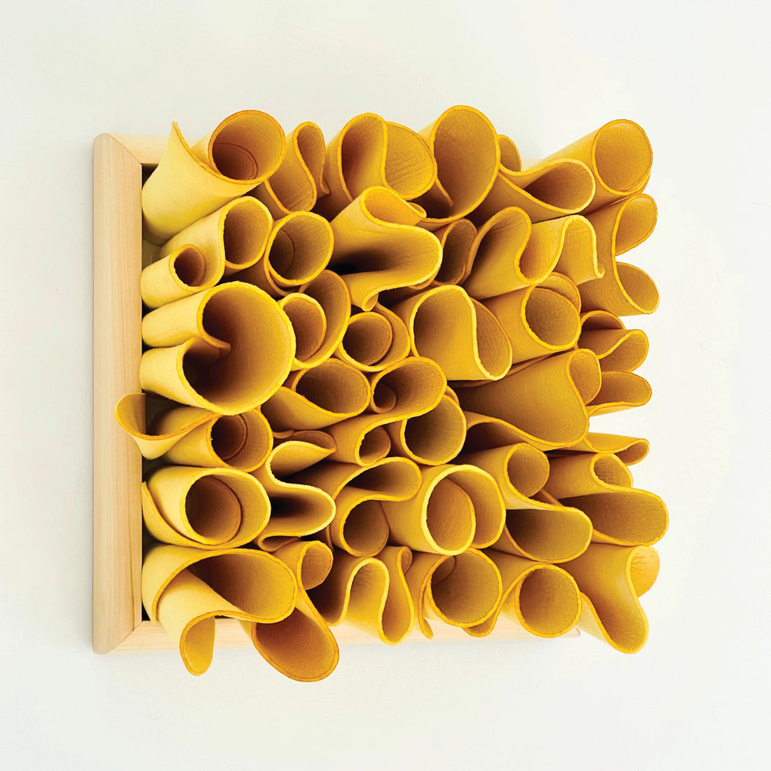 Rob Sirignano "lemon" felt box abstract art Canadian artist
